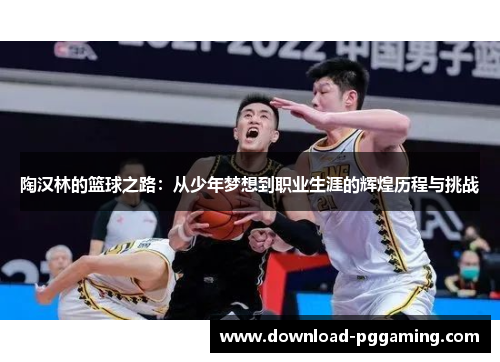 陶汉林的篮球之路：从少年梦想到职业生涯的辉煌历程与挑战
